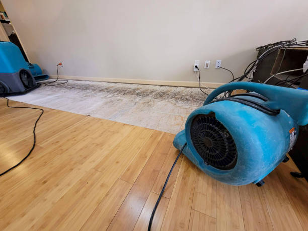 Professional Basement Flood Cleanup technician working in Linden, TX